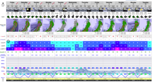12 Day Forecast Nozawa